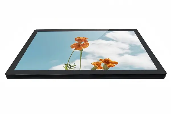 High Brightness LCD Monitor view 2